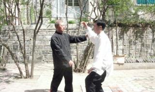 武式太极拳96式 武式太极拳96式